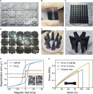 清华大学采用数字光处理（DLP）3D打印技术开发多功能磁力软体机器人