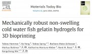 用于3D生物打印的机械性能稳健型非溶胀冷水鱼明胶水凝胶