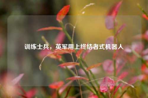 训练士兵，英军用上终结者式机器人