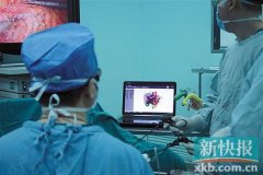 <b>胰腺3D打印 辅助切除恶性肿瘤</b> <b>胰腺3D打印 辅助切除恶性肿瘤</b>