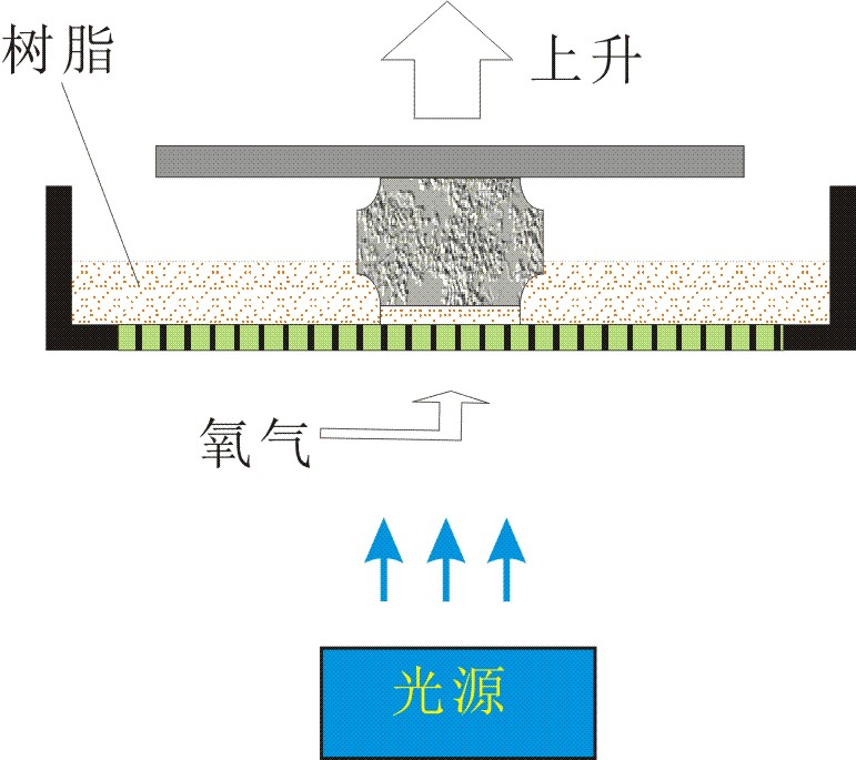 3D打印出的物体