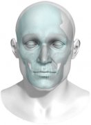 <b>FDA׼BioArchitects˾3Dӡѽ­ֲ</b>