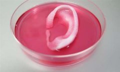 <b>ӭ3Dơʱ Ϸ</b>
