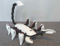 <b>ѧʹ3DӡЫӻˣͼ</b>