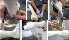 <b>��Ъ����ѧ��Stratasys��������������3D��ӡ�������</b>