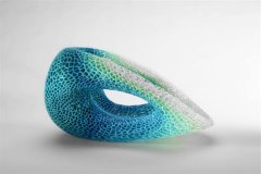 <b>��˹��ɶ��Ʊ��淴���ʵ�3D��ӡ������ר��</b>