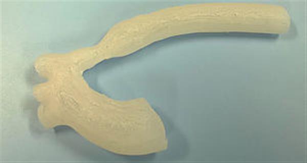 Fripp DesignsƳĹ轺ר3Dӡ