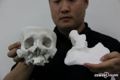 <b>ȫ׸3Dӡģ Ӧǰ(ͼ)</b>
