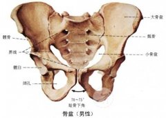 <b>3D打印导向器精准导航高难度手术</b> <b>3D打印导向器精准导航高难度手术</b>