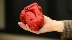 <b>Materialise CEOע3Dӡҽҵ</b>