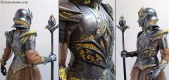<b>֮ Ů3DӡCosplayԪս</b>