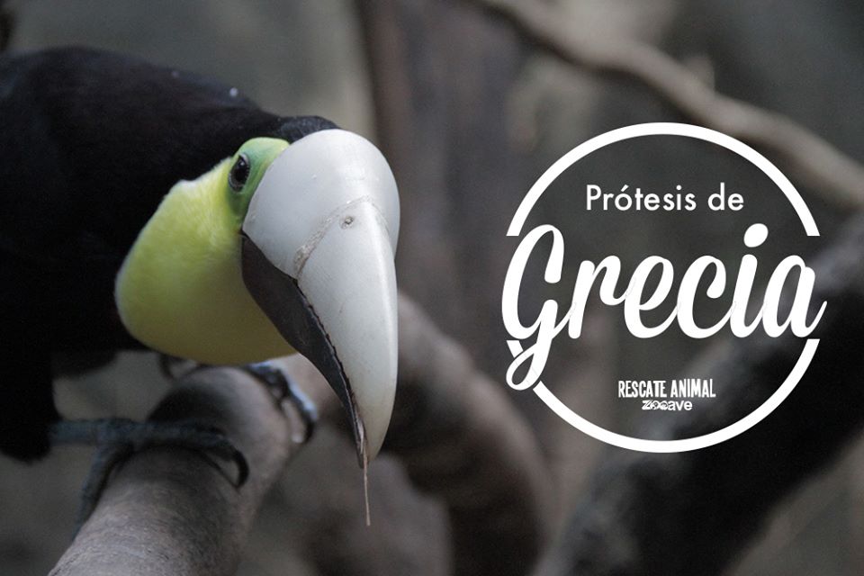 ϬGrecia3Dӡ