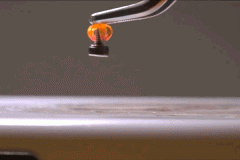 <b>ʡ3Dӡ״Ľṹ</b>