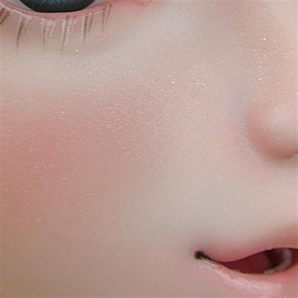 ձRML˾Ƴ߶3Dӡż