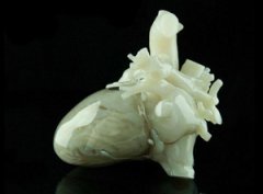 <b>MaterialiseͶԪ3Dӡ</b>