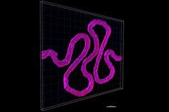 <b>ѧ3Dӡġģ</b>