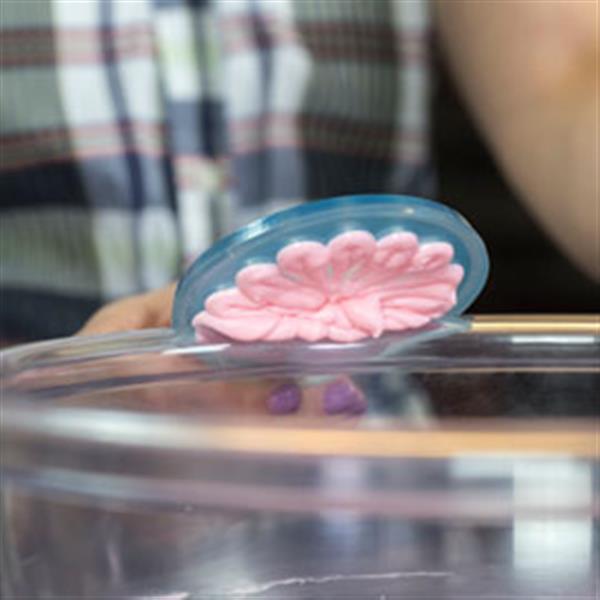 ʦ3DӡϴˢӴ˸ϴ