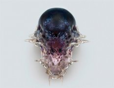 <b>ʦNeri Oxman3Dӡߡ</b>