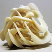 <b>ʱ佺3Dӡ</b>