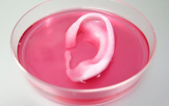 <b>叹为观止!来瞧瞧今年最牛的3D打印项目</b> <b>叹为观止!来瞧瞧今年最牛的3D打印项目</b>