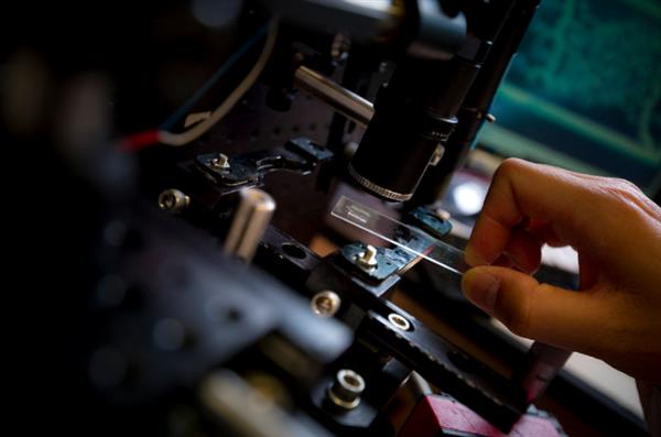 UCSD�о���Ա���ƿ���UV����3D��ӡ����Ѫ������