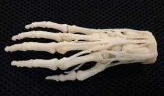 <b>Stratasys׸3DӡҽԺ</b>