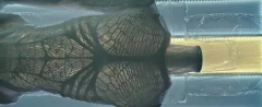 <b>ӰΡ3Dӡ취ɫ</b>