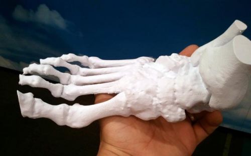 ҽ3Dӡ