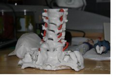 <b>厦门市第五医院拟建医学3D打印中心</b> <b>厦门市第五医院拟建医学3D打印中心</b>