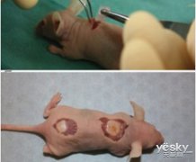 <b>ֵ ҽ3Dӡչʲô?</b>