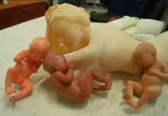 <b>ĸ׽3DӡСӤ</b>