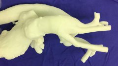 <b>3DӡѪܼ׼</b>