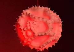 <b>΢еһ3DӡĻ۵</b>