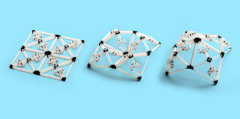 <b>ѧҿܳص4Dӡṹ</b>
