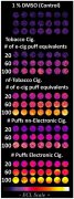 <b>̶DNA˶Σ3Dӡɸѡװø</b>