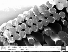 <b>科学家利用3D打印TPU材料制造经济实惠的细胞支架</b> <b>科学家利用3D打印TPU材料制造经济实惠的细胞支架</b>