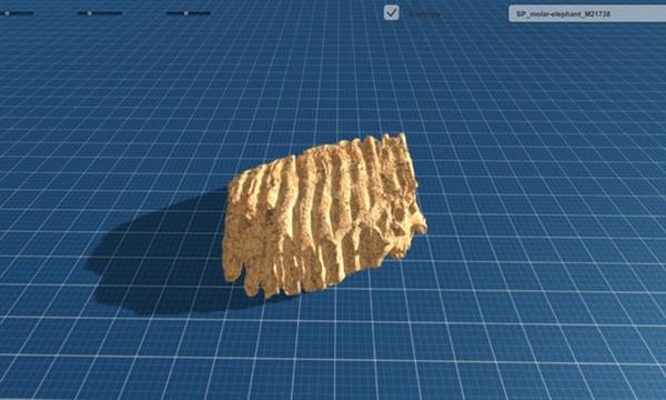 3DɨĻʯ