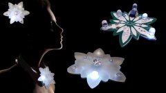 <b>ʦƳ߿Ƽ3DӡEdelweiss</b>