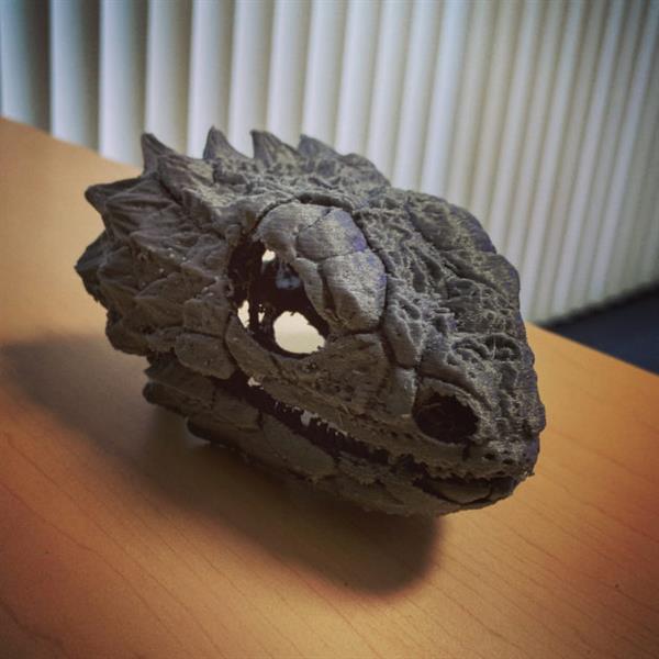 oVert计划:为MorphoSource数据库3D扫描超两万个个脊椎动物 oVert计划:为MorphoSource数据库3D扫描超两万个个脊椎动物