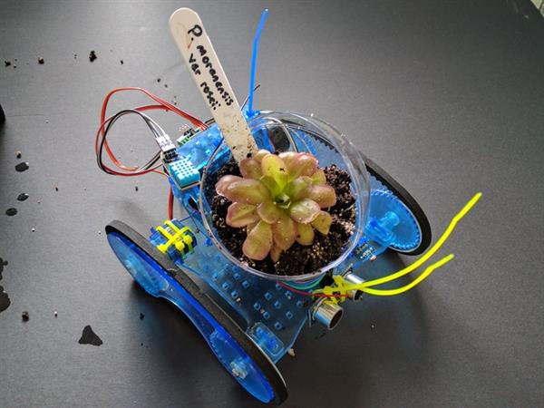 3DӡPlantoidsֲȥõĵط