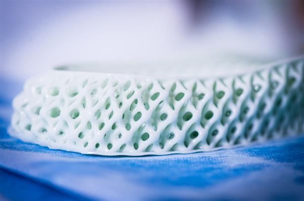 3Dӡİϴ˹futurecraft 4d˶Ь