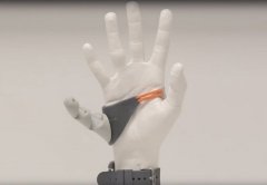 <b>皇家艺术学院毕业展:有同学3D打印了“第三根拇指”</b> <b>皇家艺术学院毕业展:有同学3D打印了“第三根拇指”</b>