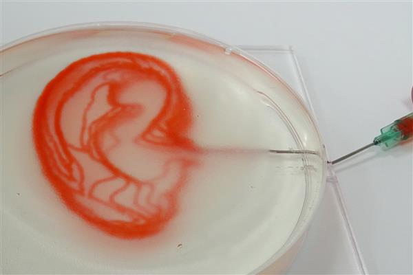 研究人员使用开源的Vitaprint生物3D打印机打印耳形血管 研究人员使用开源的Vitaprint生物3D打印机打印耳形血管