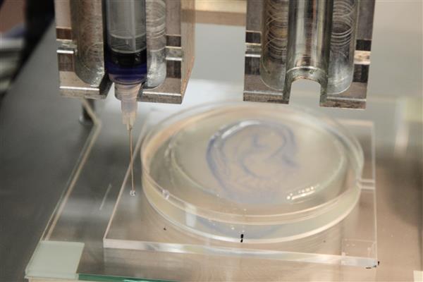 研究人员使用开源的Vitaprint生物3D打印机打印耳形血管 研究人员使用开源的Vitaprint生物3D打印机打印耳形血管