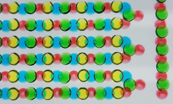 3D打印的电鳗器官可以为未来人体提供植入物 3D打印的电鳗器官可以为未来人体提供植入物