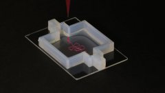 <b>WyssооԱͨ3Dӡٹ</b>