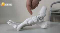 ʡɹʵʩ3Dӡ˹Ǽֲ