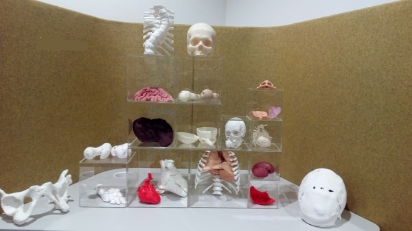 3D LifePrintϵ3Dӡҽģ