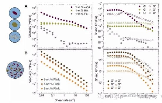 ��������������ѧԺ�о�Ա���������ж���ϸ��������3D��ӡīˮ