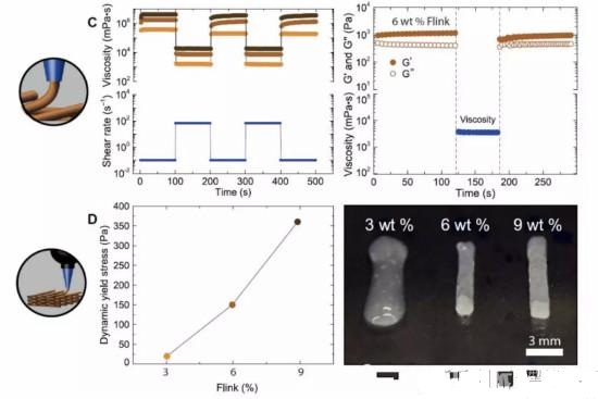 ��������������ѧԺ�о�Ա���������ж���ϸ��������3D��ӡīˮ